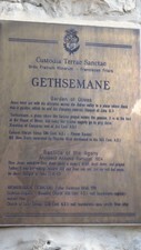 getszemani3.JPG